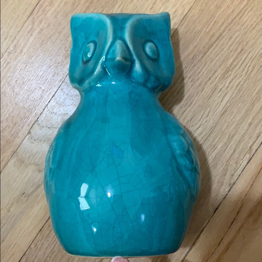 Glass owl from Pier One